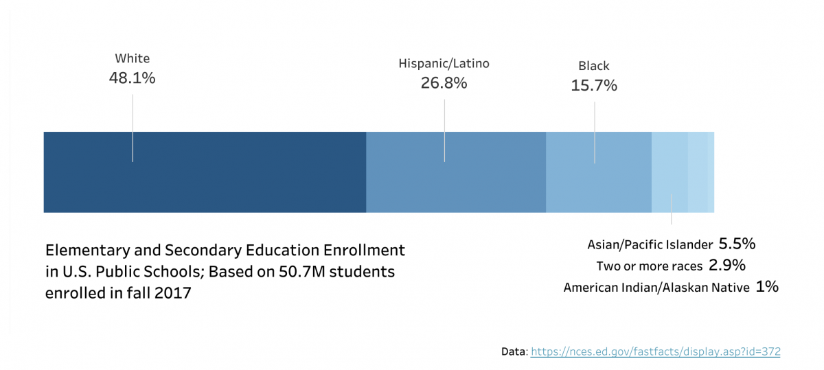 In 2017, 48% of students in elementary and middle schools were white.