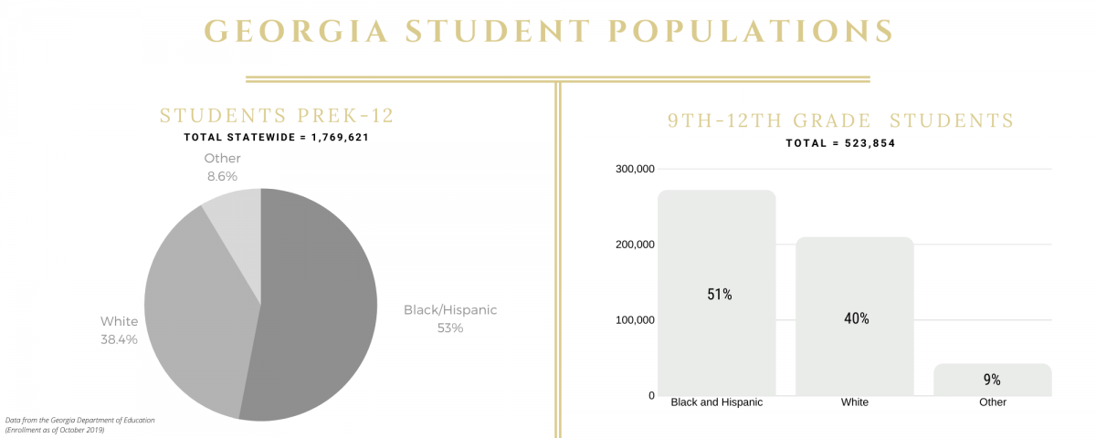 Georgia Student Populations